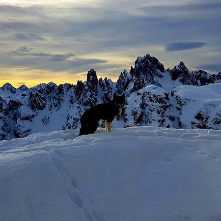 Appartamento Daniela Dolomiti. Auronzo di Cadore Eksteriør bilde