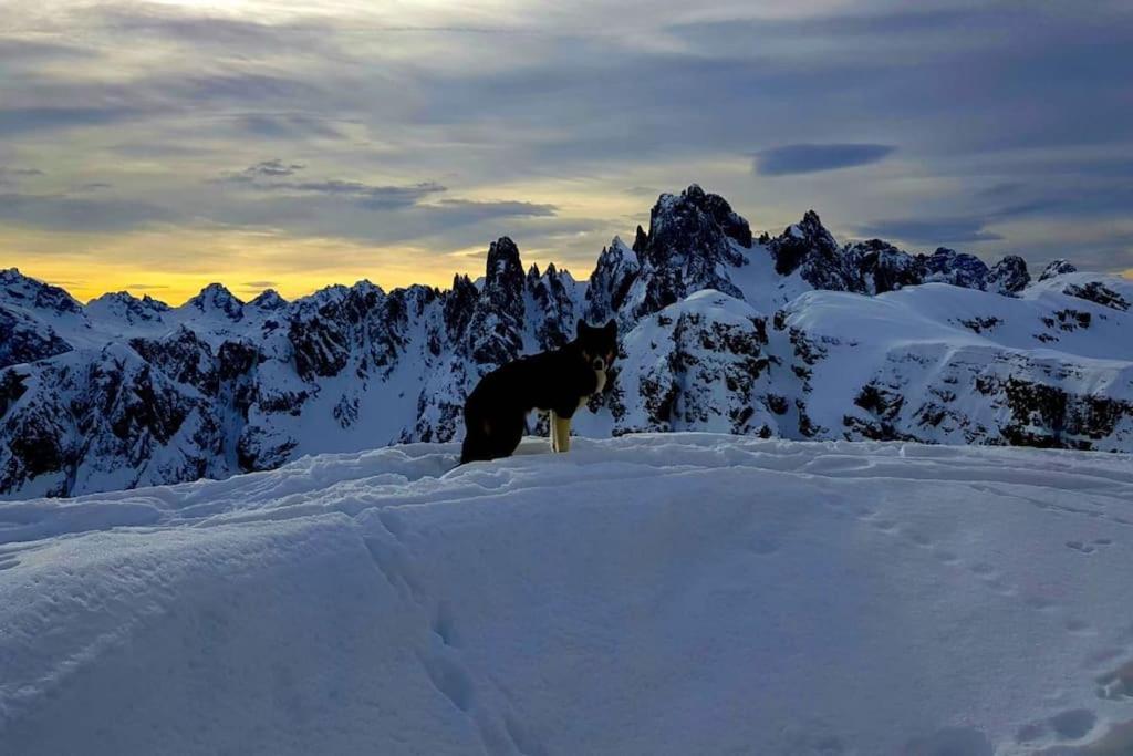 Appartamento Daniela Dolomiti. Auronzo di Cadore Eksteriør bilde